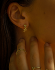 Frog Eternity Hoops